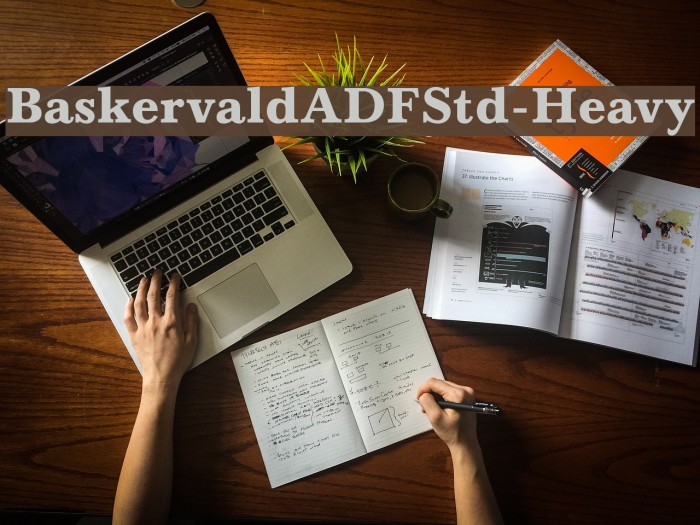 BaskervaldADFStd-Heavy Font examples