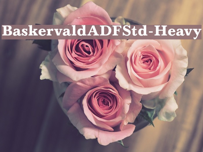 BaskervaldADFStd-Heavy Font examples