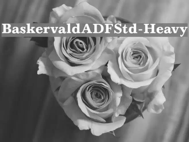 BaskervaldADFStd-Heavy フォント examples