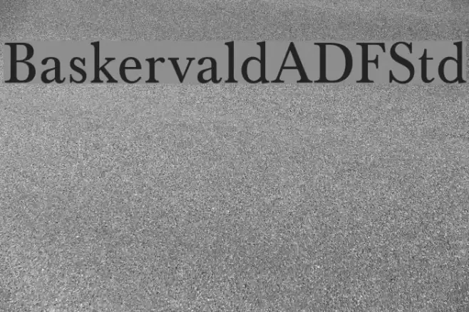 BaskervaldADFStd Polices examples