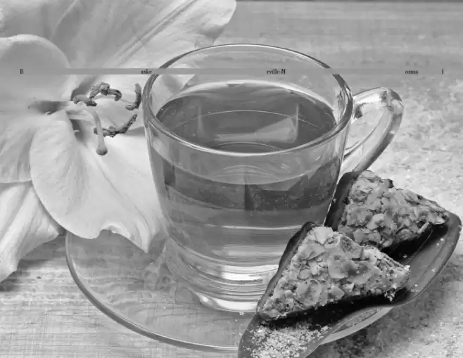 Baskerville-Normal Font examples