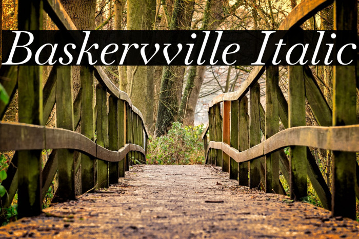 Baskervville Italic Font examples
