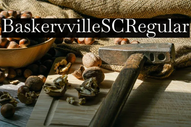 Baskervville SC Regular Example 3