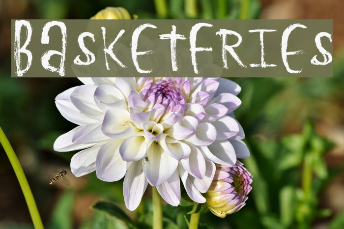 BasketFries Font examples