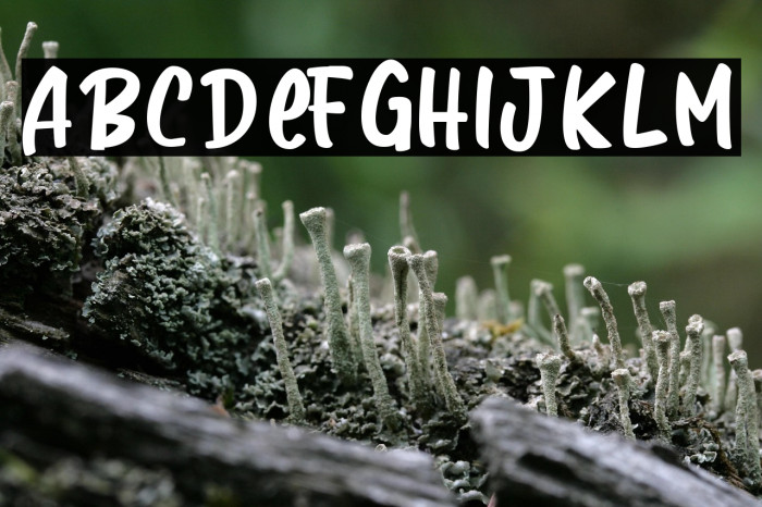 Basketball Example 1