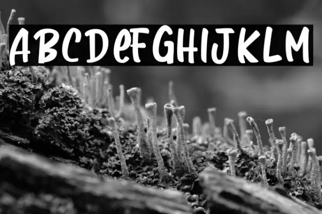 Basketball Font examples