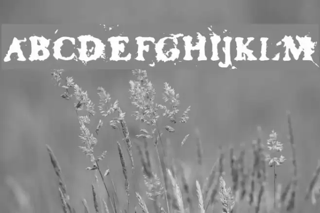 Basketcase Roman フォント examples