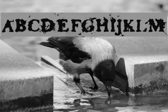 Basketcase Roman フォント examples