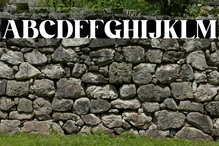 Basking Personal use Example 3