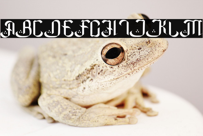 Basmallahu Example 1