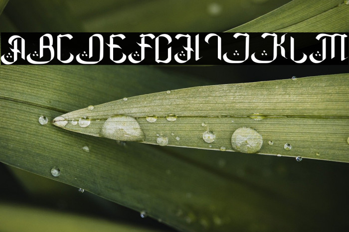 Basmallahu Example 2