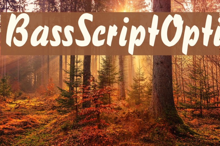 BassScriptOpti फ़ॉन्ट examples