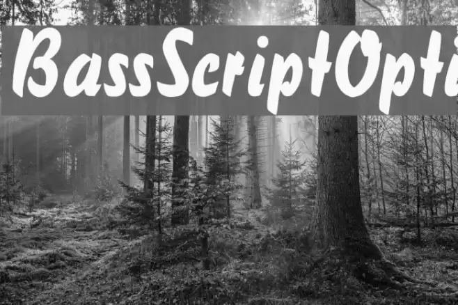 BassScriptOpti Шрифта examples