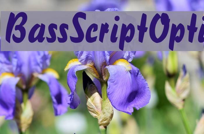 BassScriptOpti फ़ॉन्ट examples