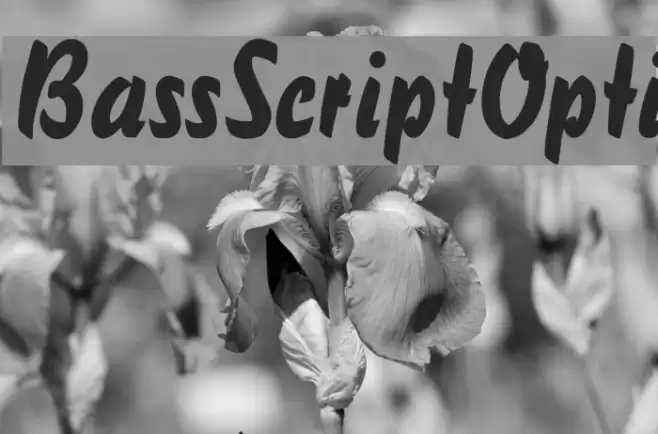 BassScriptOpti Шрифта examples