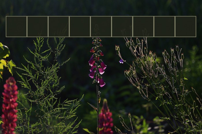 Bassa VAH_[Kwa]_Liberia Example 2