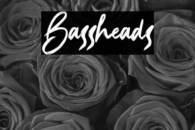 Bassheads Font examples