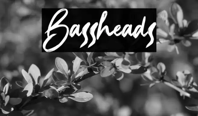 Bassheads Font examples