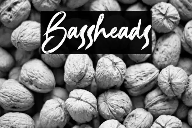Bassheads Font examples