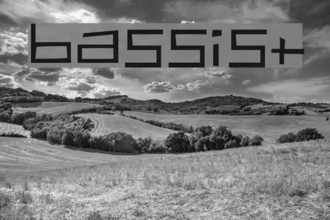 Bassist Font examples