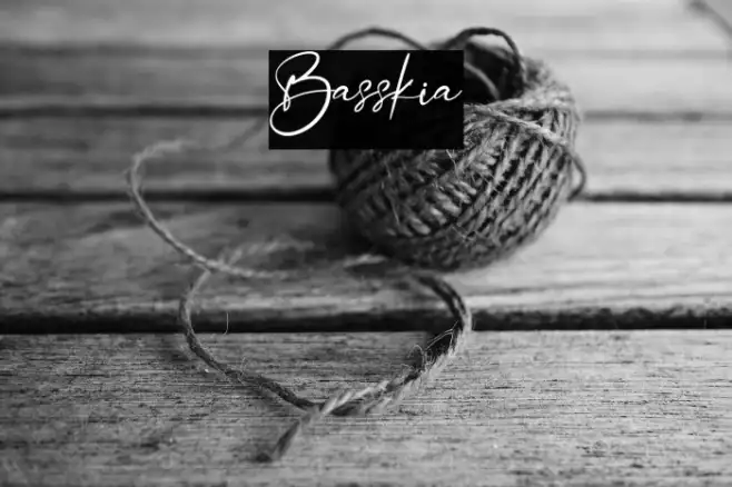 Basskia Example 2