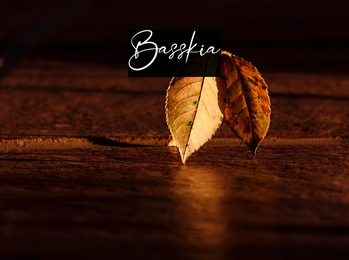 Basskia Example 3