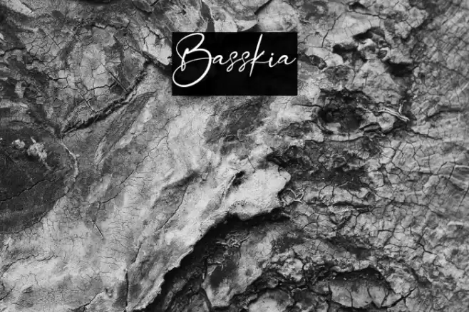Basskia Font examples