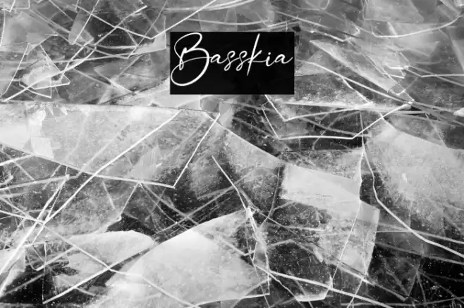 Basskia Font examples