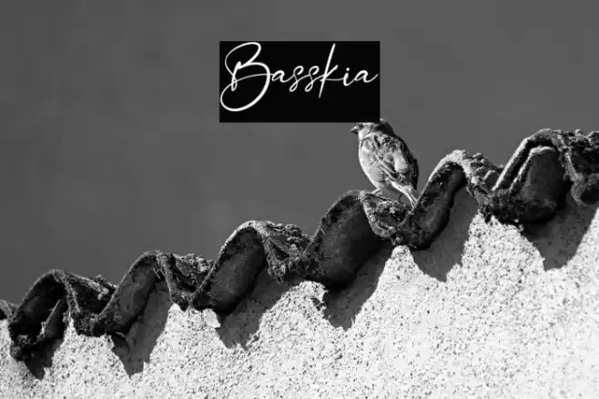 Basskia Font examples