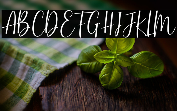 BasstonScript Example 3