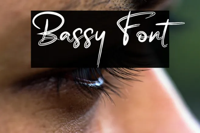 Bassy Example 1