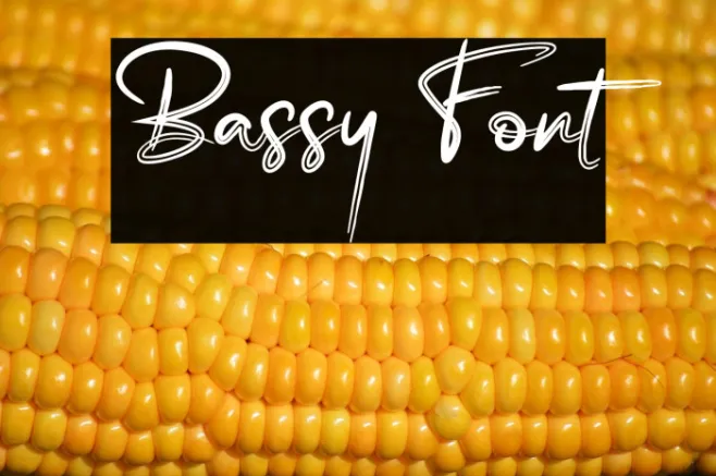 Bassy Example 2