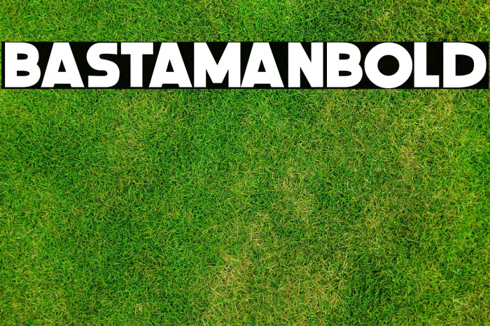 BastamanBold Example 2