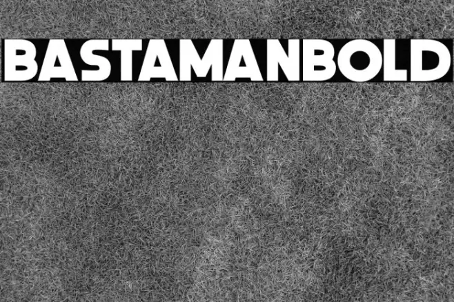 BastamanBold Example 2
