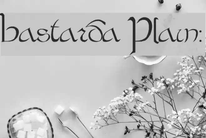 Bastarda Plain: Font examples