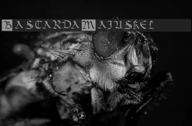 BastardaMajuskel1300 Fuentes examples