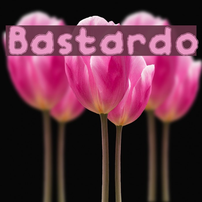 Bastardo Font examples
