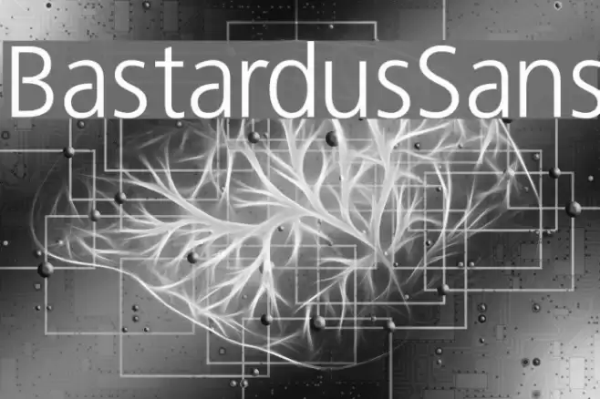BastardusSans Font examples