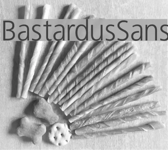 BastardusSans Font examples