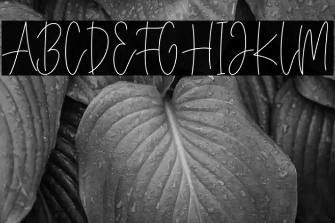 BasterMonky Font examples