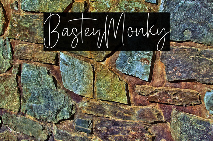 BasterMonky Example 1