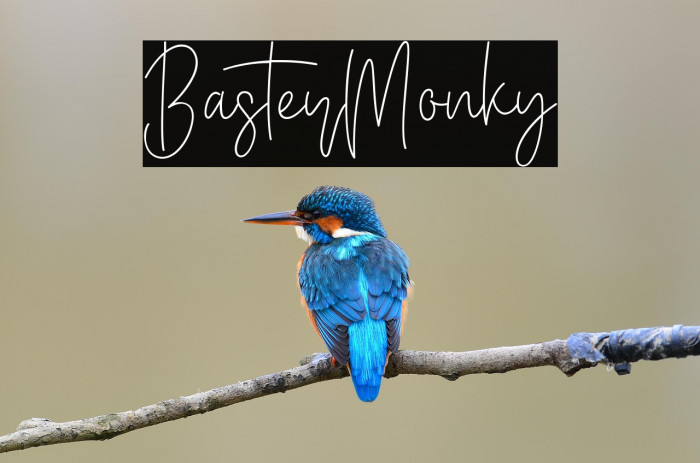 BasterMonky Example 2