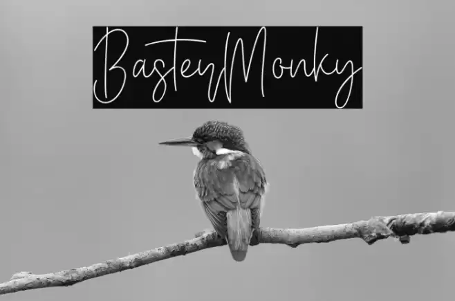 BasterMonky Font examples