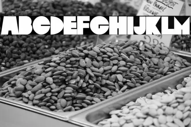 Basterds Font examples