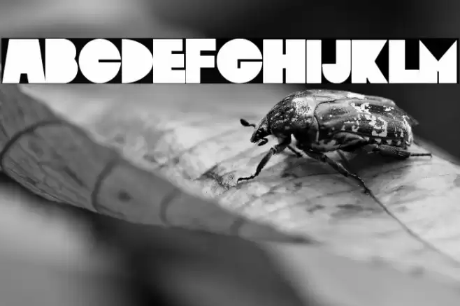 Basterds Font examples