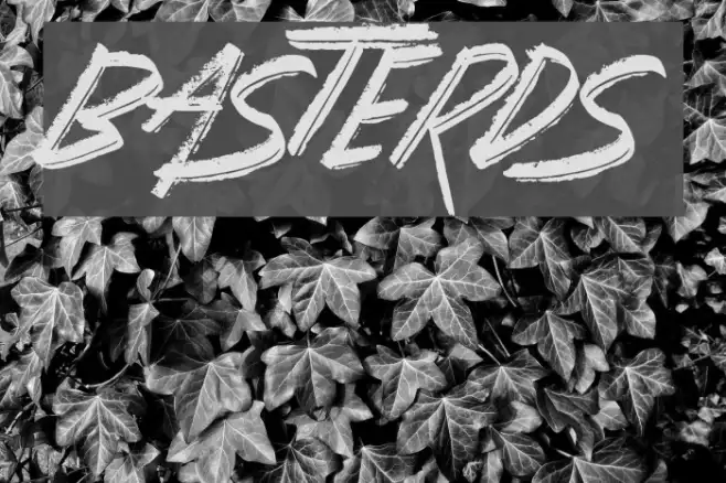 Basterds Example 3