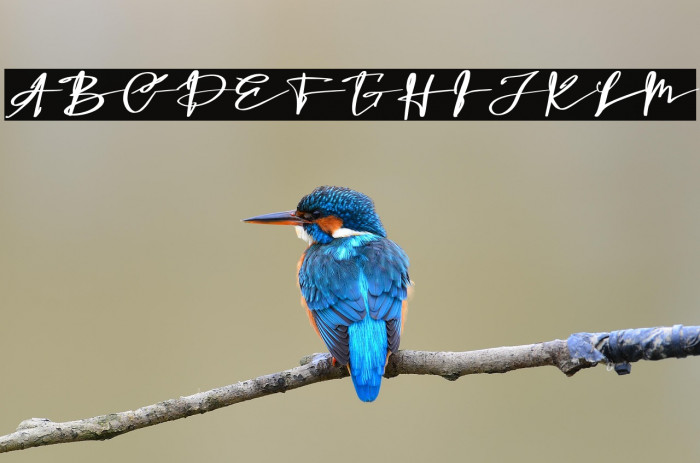 Bastia Salita Example 3