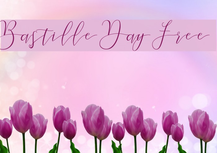 Bastille Day Free Example 1