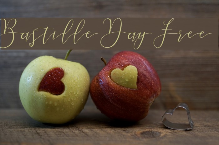 Bastille Day Free Example 2