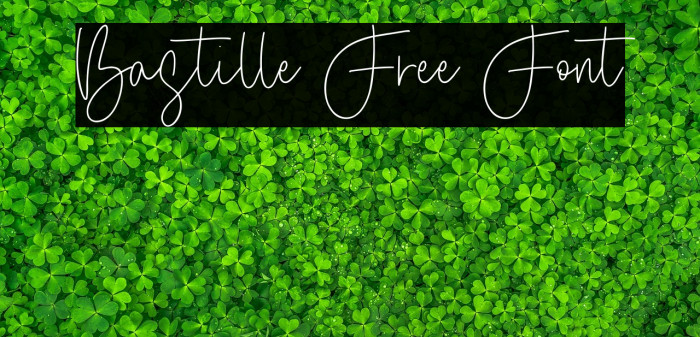 Bastille Free Font Example 2